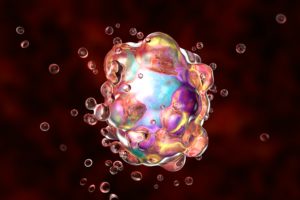 Groundbreaking New Research on Reishi Mushroom Apoptosis Fotor 300x200 - Groundbreaking New Research on Reishi Mushroom