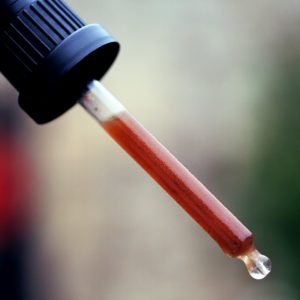 Reishi Mushroom - Ganoderma lucidum Reishi With Spores Tincture 300x300 - Reishi Mushroom - Ganoderma lucidum